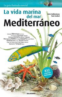 Produktbild: La vida marina del mar Mediterr&aacute;neo