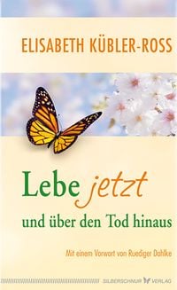 Produktbild: Lebe jetzt und &uuml;ber den Tod hinaus