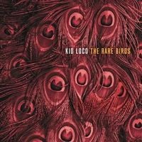Produktbild: The Rare Birds