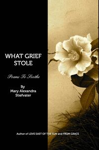 Bild vom Artikel What Grief Stole vom Autor Mary Alexandra Stiefvater
