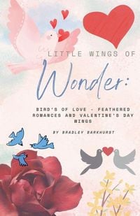 Produktbild: Little Wings of Wonder