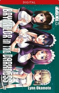 Produktbild: Brynhildr in the Darkness 12