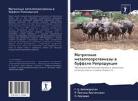 Produktbild: Matrichnye metalloproteinazy w buffalo Reprodukciq