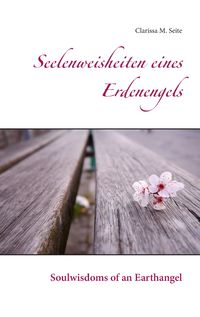 Produktbild: Seelenweisheiten eines Erdenengels