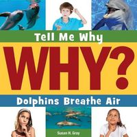 Produktbild: Dolphins Breathe Air
