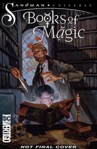 Produktbild: Howard, K: Books of Magic Volume 3