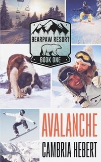 Produktbild: Avalanche