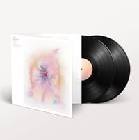 Bild vom Artikel Music For Psychedelic Therapy (2LP+MP3) vom Autor Jon Hopkins