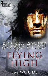 Produktbild: Flying High