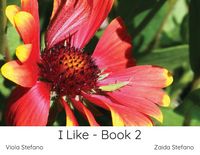 Produktbild: I Like - Book 2