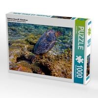 Produktbild: CALVENDO Puzzle Bathala Hausriff, Malediven | 1000 Teile Lege-Gr&ouml;&szlig;e 64x48cm Foto-Puzzle f&uuml;r gl&uuml;ckliche Stunden