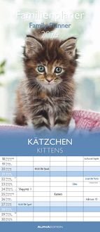 Bild vom Artikel Kätzchen 2024 Familienplaner - Familienkalender - Wandkalender - 19,5x45 vom Autor 
