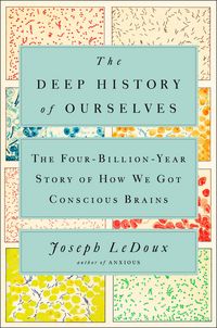 Produktbild: The Deep History of Ourselves