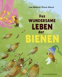 Produktbild: Das wundersame Leben der Bienen
