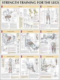 Produktbild: Delavier, F:  Strength Training for the Legs