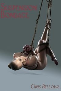 Produktbild: Suspension Bondage
