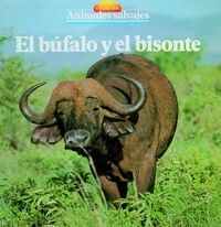 Produktbild: El b&uacute;falo y el bisonte