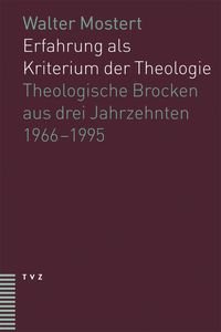 Produktbild: Erfahrung als Kriterium der Theologie