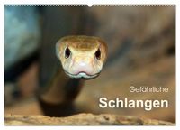 Produktbild: Gef&auml;hrliche Schlangen (Wandkalender 2027 DIN A2 quer), CALVENDO Monatskalender