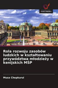 Produktbild: Rola rozwoju zasob&oacute;w ludzkich w kszta&iquest;towaniu przyw&oacute;dztwa m&iquest;odzie&iquest;y w kenijskich M&iquest;P