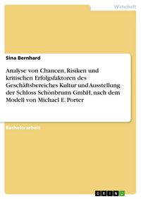 Produktbild: Analyse von Chancen, Risiken und kritischen Erfolgsfaktoren des Gesch&auml;ftsbereiches Kultur und Ausstellung der Schloss Sch&ouml;nbrunn GmbH, nach dem Modell