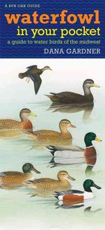 Bild vom Artikel Waterfowl in Your Pocket: A Guide to Water Birds of the Midwest vom Autor Dana Gardner