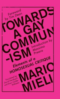 Produktbild: Towards a Gay Communism