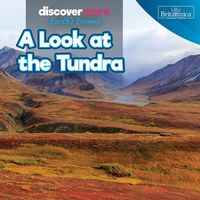 Produktbild: A Look at the Tundra