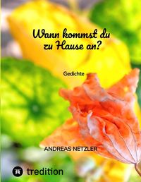 Produktbild: Wann kommst du zu Hause an?
