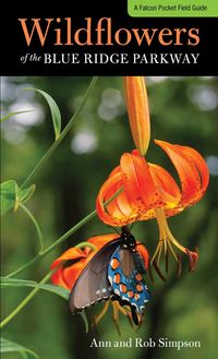 Produktbild: Wildflowers of the Blue Ridge Parkway