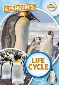 Produktbild: A Penguin's Life Cycle