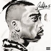 Produktbild: Wiley: Godfather II