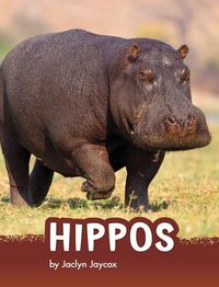Produktbild: Hippos