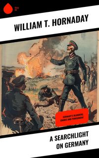 Produktbild: A Searchlight on Germany