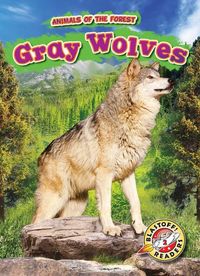 Produktbild: Gray Wolves