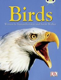 Produktbild: BC NF Grey B/4C Birds