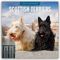 Produktbild: Scottish Terrier &ndash; Scotchterrier 2027 &ndash; 16-Monatskalender