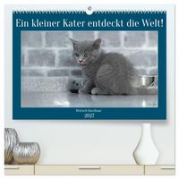 Produktbild: Ein kleiner Kater entdeckt die Welt! (hochwertiger Premium Wandkalender 2027 DIN A2 quer), Kunstdruck in Hochglanz