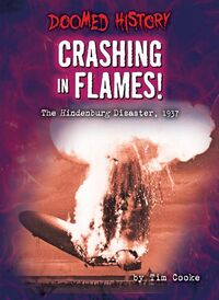 Produktbild: Crashing in Flames!