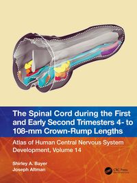 Produktbild: The Spinal Cord during the First and Early Second Trimesters 4- to 108-mm Crown-Rump Lengths