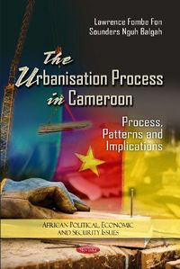 Produktbild: Urbanization Process in Cameroon