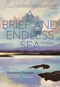 Produktbild: A Brief and Endless Sea