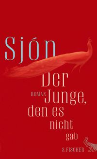 Produktbild: Der Junge, den es nicht gab