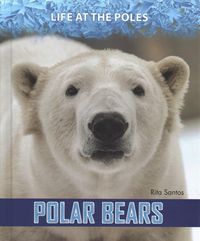 Produktbild: Polar Bears