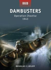 Produktbild: Dambusters