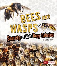 Produktbild: Bees & Wasps