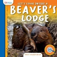 Produktbild: Let's Look Inside a Beaver's Lodge