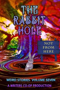 Produktbild: The Rabbit Hole VII: Not From Here