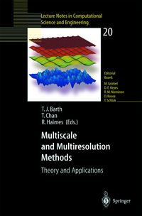 Produktbild: Multiscale and Multiresolution Methods