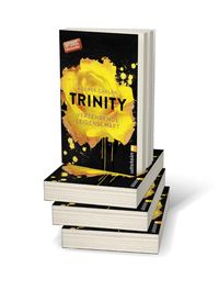 Verzehrende Leidenschaft / Trinity Bd.1